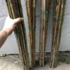 Bamboo Gardening Stakes 20 Count -Green Aura 0004B694 3A1C 4080 B249 900AEB0221D8 rotated 1