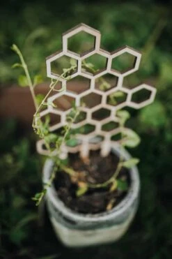 Medium Sized Honeycomb Trellis 12 Medium Sized Honeycomb Trellis -Green Aura 089A4571