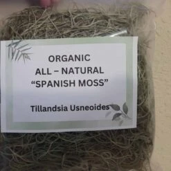 Beautiful Fresh Florida Spanish Moss (Tillandsia Usneoides) In 1 Gallon Bags -Green Aura 20230613 192126