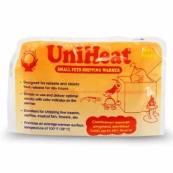 Beautiful Hoya Curtisii In A 4 Inch Pot! Blooms Are Amazing! -Green Aura 40Hr Single 1000x1000 20907