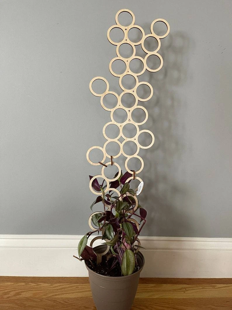 Indoor Circle Wood Plant Trellis Extension 3 Indoor Circle Wood Plant Trellis Extension