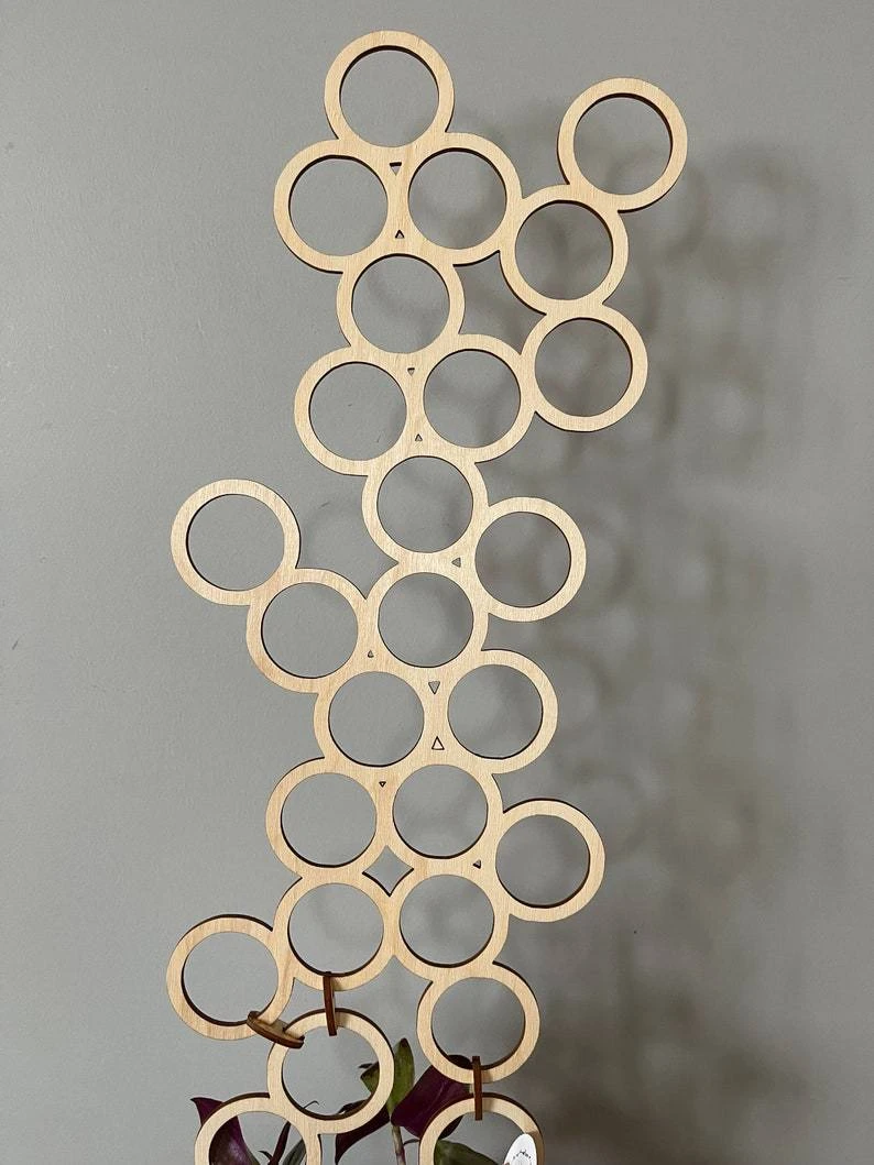 Indoor Circle Wood Plant Trellis Extension 4 Indoor Circle Wood Plant Trellis Extension - Image 2