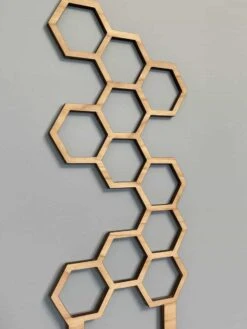 Indoor Hexagon Wood Plant Trellis -Green Aura HEXAGON 2