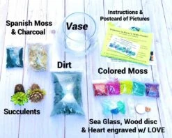 Rainbow Succulent Terrarium Kit -Green Aura IMG 2156