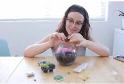 Rainbow Succulent Terrarium Kit -Green Aura IMG 7063
