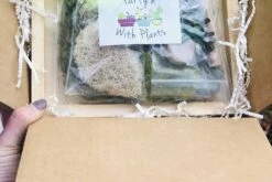 DIY Moss Wall Art Kit, Make Your Own Moss Art, Preserved Moss Art -Green Aura IMG 8339