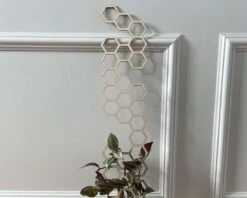 Indoor Hexagon Wood Plant Trellis Extension -Green Aura IMG 8876