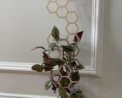Indoor Hexagon Wood Plant Trellis Extension