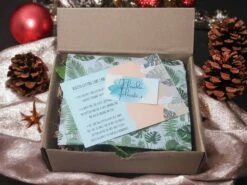 LIVE Cuttings Box - Pothos - Hoya - Philodendron - Spider - Cutting Mystery Box - FREE SHIPPING -Green Aura PhotoRoom 20231112 170136