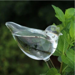 Self Watering Glass Ornaments | Carlo`s Plant Farm -Green Aura Screenshot 2022 07 07 094607