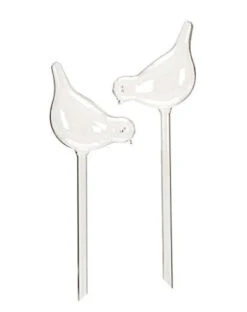 Self Watering Glass Ornaments | Carlo`s Plant Farm -Green Aura Screenshot 2022 07 07 094624