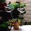 Self Watering Glass Ornaments | Carlo`s Plant Farm -Green Aura Screenshot 2022 07 07 094655