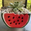 Watermelon Pot With Succulent 1 Watermelon Pot With Succulent -Green Aura Watermelon pots rotated 1