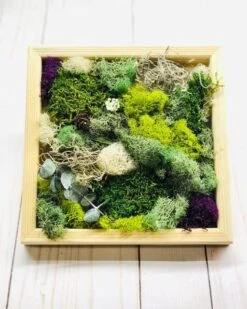 DIY Moss Wall Art Kit, Make Your Own Moss Art, Preserved Moss Art -Green Aura big4