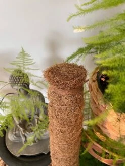 3ft Tall - Plant Climbing Pole, Moss Pole, Coco Coir Pole, Totem Pole, Ning's Creations, Made In USA! -Green Aura closed end