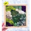 DIY Moss Wall Art Kit, Make Your Own Moss Art, Preserved Moss Art -Green Aura diy big moss