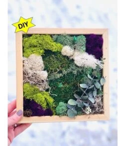 DIY Moss Wall Art Kit, Make Your Own Moss Art, Preserved Moss Art