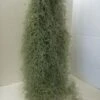 Air Plant Mature Live Spanish Moss | A Silvery-gray Plant That Is So Unique. -Green Aura il fullxfull.765906976 9472