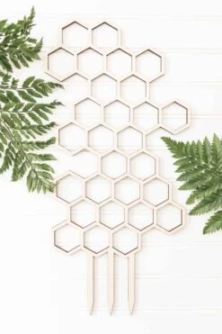 Large Honeycomb Trellis -Green Aura plants15of23
