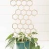 Large Honeycomb Trellis -Green Aura plants2of23