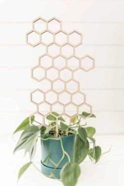 Large Honeycomb Trellis