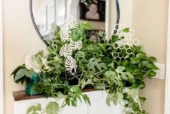 Large Honeycomb Trellis -Green Aura plants9of181