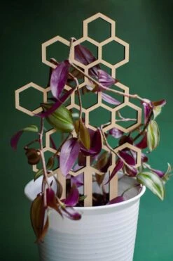 Medium Sized Honeycomb Trellis 11 Medium Sized Honeycomb Trellis -Green Aura plantsnsht 9