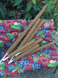 2ft Tall - Plant Climbing Pole, Moss Pole, Coco Coir Pole, Totem Pole, Ning's Creations, Made In USA! Free Shipping