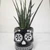 Sansevieria Fernwood Mikado In Sugar Skull Pot - Mikado Snakeplant 6"